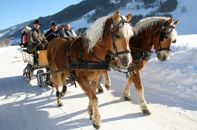 Pferdeschlittenfahrt in Ramsau © Photo-Austria Herbert Raffalt