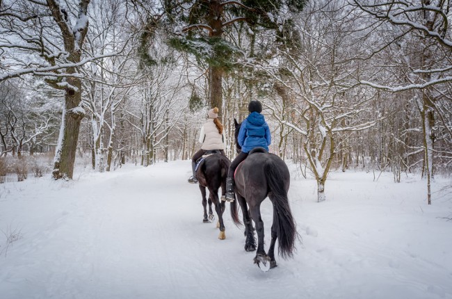 Reiten im Winterwunderland